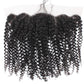 Luxa kinky curly frontal